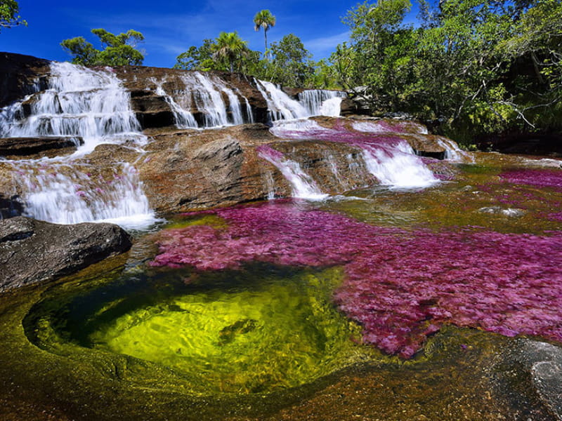 Caño Cristales Todo incluido 4 días y 3 noches